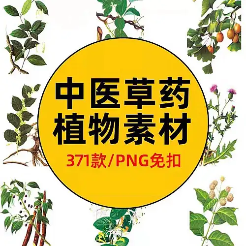 手绘中医草药草本植物插图背景PNG免抠图片养生材图案PS素材