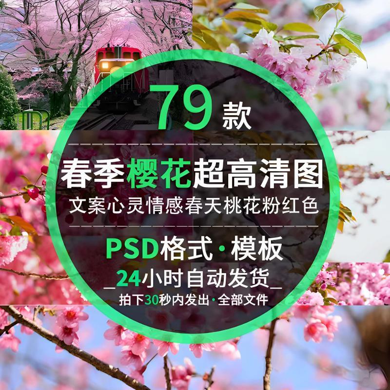 ffdder樱花主题海报设计素材樱花树0805