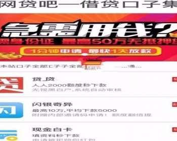 最新网贷拉人引流源码 网贷口子网站源码
