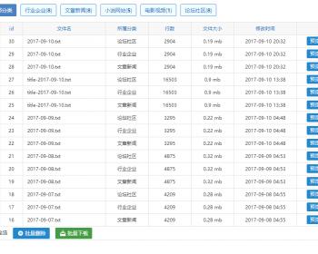 小霸王SEO站群蜘蛛池免受权无限制版V6.3版本|站群SEO源码程序