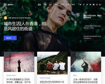 Salient 新闻博客WordPress主题汉化版整站主题包