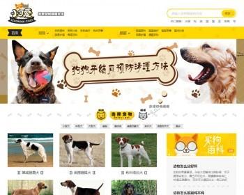 爱宠物网宠物资讯平台宠物相关网站源码完整版+火车头采集+手机版