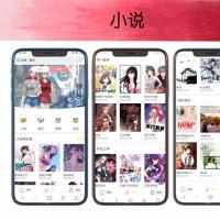 梦幻小说语音APP专业团队开源系统无加密混合开发专属定制