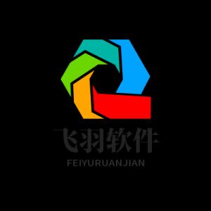 飞羽软件
