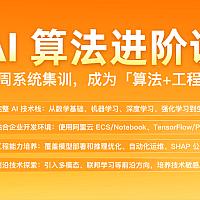 极客 AI算法进阶训练营（包更新）