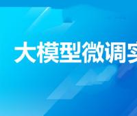 贪心-大模型微调实战营-精通+指令微调+开源大模型微调+对齐+垂直领域应用