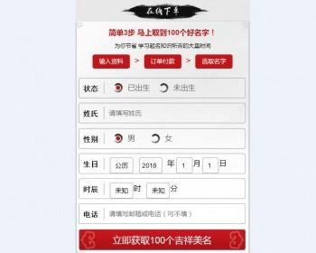 付费取名系统在线取名系统起名系统八字起名周易取名系统网站源码付费起名