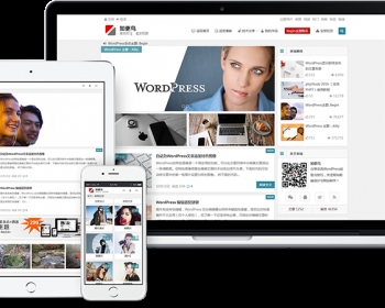 知更鸟Begin4.6主题完美xx版