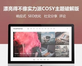 WordPress主题漂亮得不像实力派的Cosy主题xx版