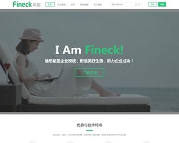 DiscuzX3.2模板 Fineck风趣 商业版（GBK）dz大气企业风格模板