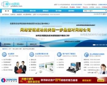 ASP内核蓝色网站建设/营销公司网站源码