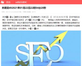 飞鸟SEO站群风度修改版