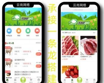 【2021】养牛/养羊 /农牧宝/农场/牧场/养殖种植/视频监控直播APP系统源码