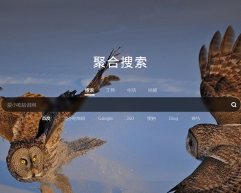 高端导航网站源码、聚合搜索引擎源码（自动换壁纸+实时天气预告）