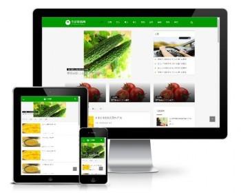 Thinkphp响应式美容养生新闻资讯类网站模板 绿色新闻资讯博客网站