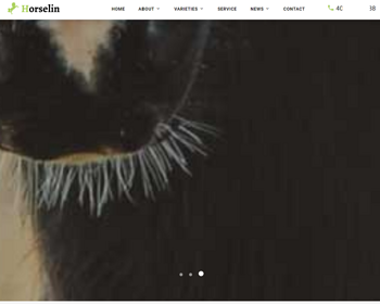 （自适应移动端）养马场畜牧业英文网站pbootcms模板 马匹饲养养殖场网站模板