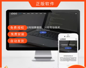 (自适应移动端)网站建设网络科技类模板 SEO优化网络建站公司网站源码