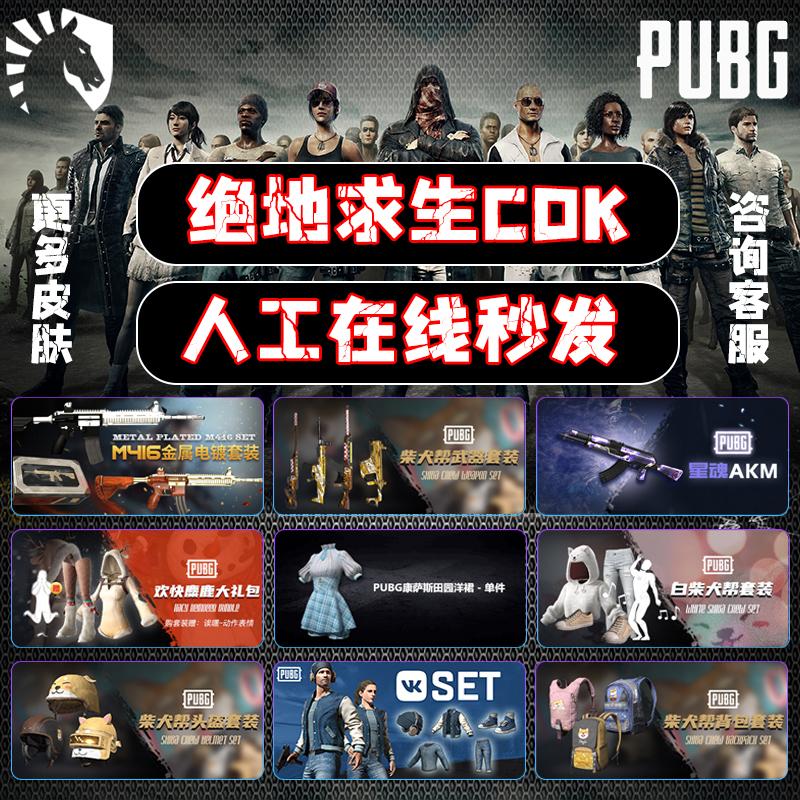 绝地求生皮肤兑换码pubgsteam激活码枪皮衣服裙子头盔背包套装CDK