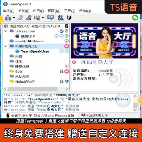 搭建Teamspeak 3 服务器搭建基友开黑 ts语音聊天团队TS搭建Steam