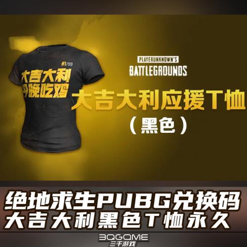 绝地求生PUBG黑色上衣大吉大利今晚吃鸡T恤永久CDK兑换码礼包激活