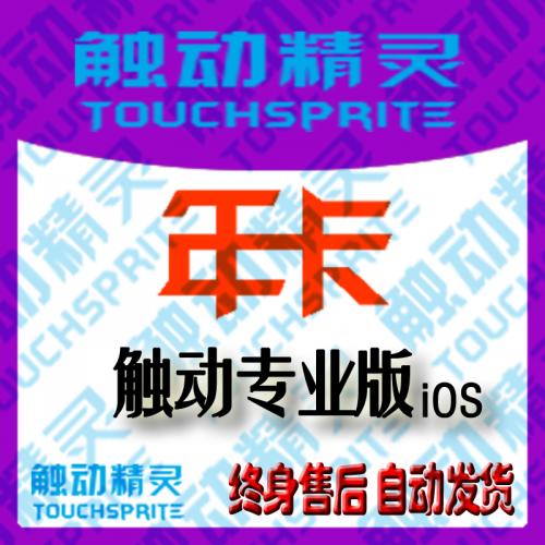 触动精灵|专业版|年卡|24H自动发货|激活码|授权码|366天|依依
