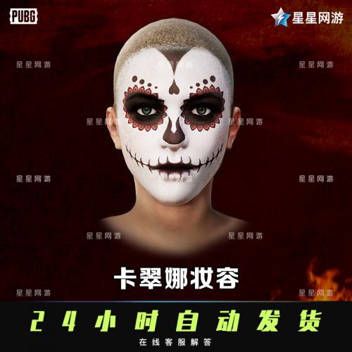 pubg绝地求生cdk皮肤卡崔娜妆容兑换码面部面容吃鸡端游steam - 送码