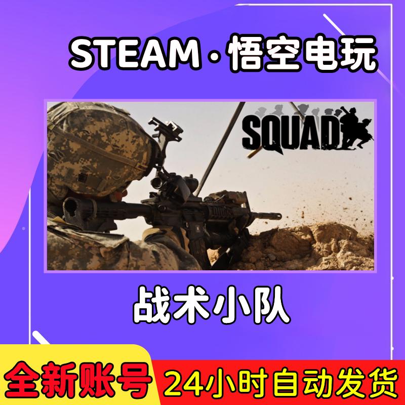 PC正版 steam游戏 战术小队 squad 联机多人战术 成品号 仙橙电玩