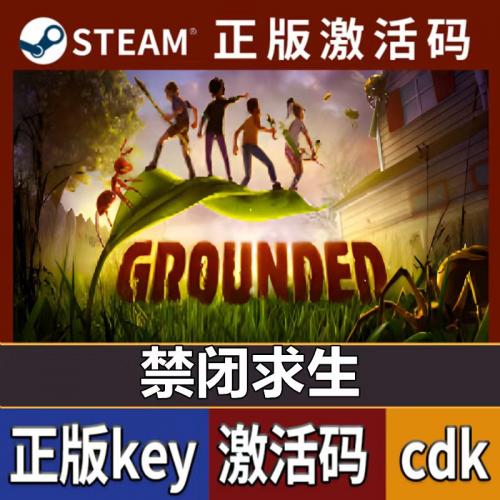 禁闭求生steam正版永久激活入库cdkey激活码全DLC全球激活不联机