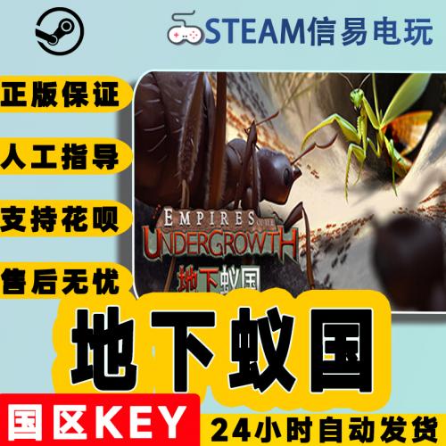 steam正版 地下蚁国  国区激活码 现货秒发 cdkey