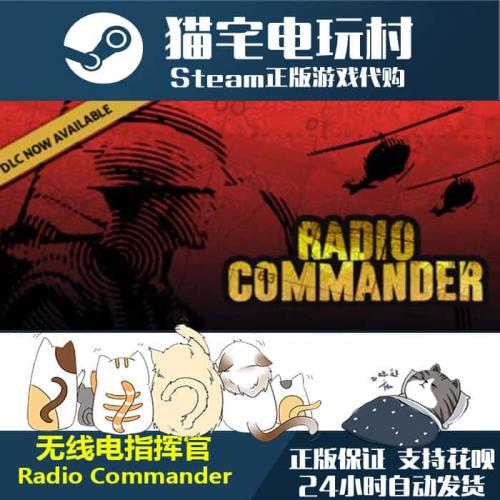 Steam 无线电指挥官/ Radio Commander 正版PC 激活码cdKey