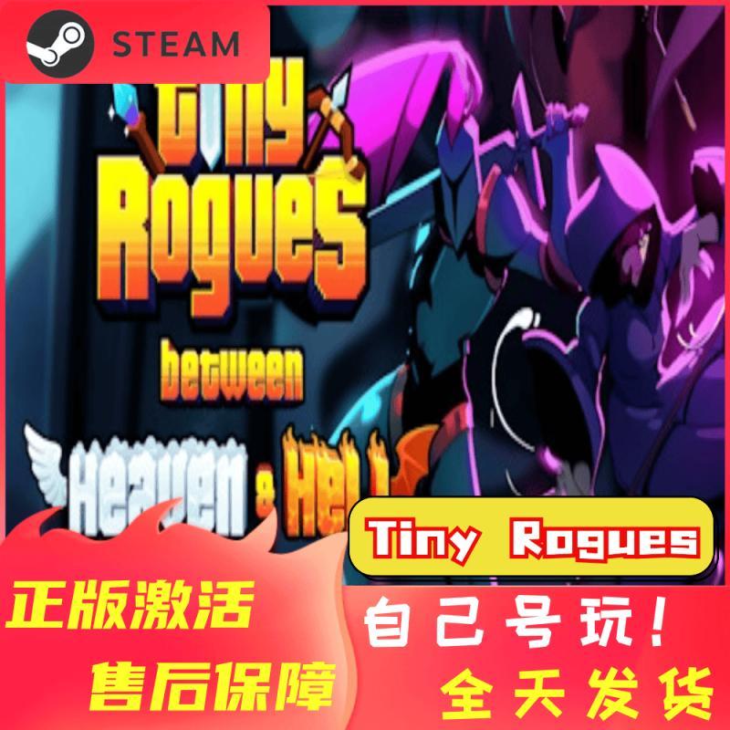 steam正版tiny rogues微型迷宫入库激活码全球国区动作单人游戏