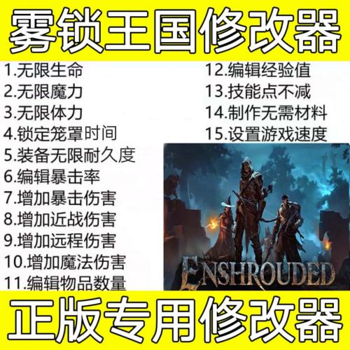 雾锁王国修改器 Enshrouded 支持正版steam 仅辅助联机 不含游戏