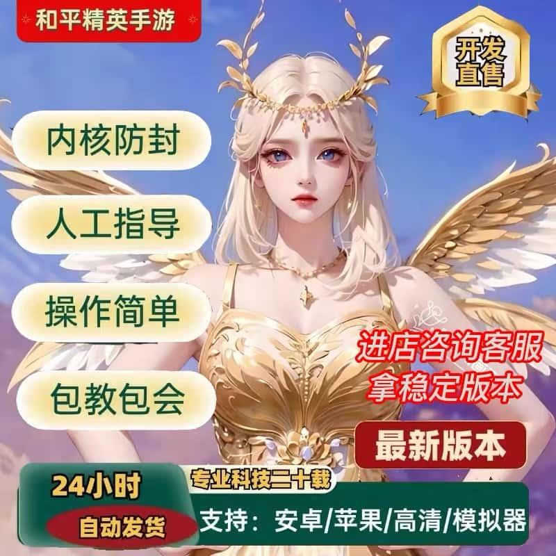 和平/安卓/精英内测/主播上分稳定/核透激活码辅导百科模拟器技术