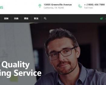 CONSULTPLUS汉化版