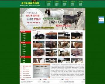 山东养羊场，波尔山羊价格，黑山羊养殖，小尾寒羊价格，济宁青山羊，山东盛源养羊基地