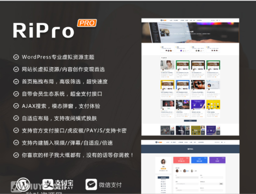 wordpress主题高级虚拟资源下载站主题RiPro5.4xx无授权版送美化包无需SG11