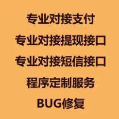 专业对接支付接口、短信接口、实名认证接口，第三方支付对接，提现接口对接