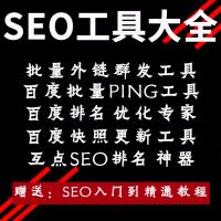 网站关键词seo优化排名软百度seo软件推广工具外链工具网址提交