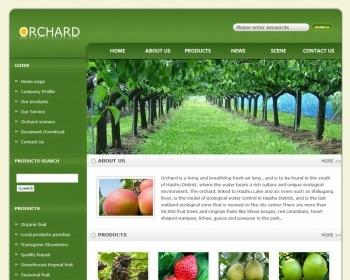 适合于水果蔬菜公司消耗的网站模板