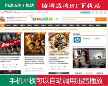 仿《海盗湾中文网》BT电影种子下载网站源码 自动适应手机站