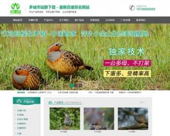 城市分站源码企业二级域名分站地区关键词优化推广收录排名非常棒