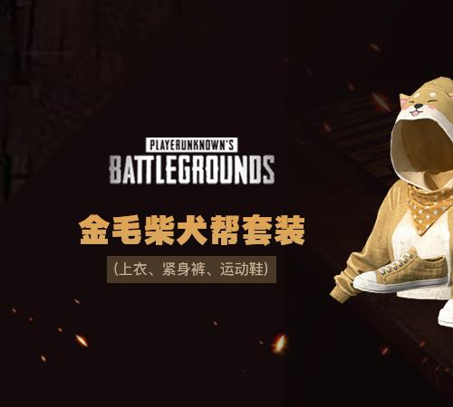 【官方正品CDK】金毛柴犬帮套装【皇冠信誉,谨防假冒】