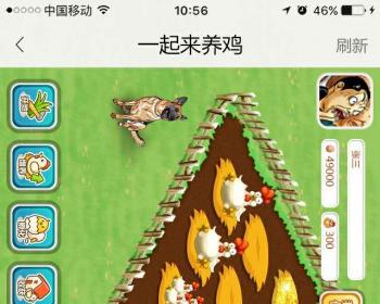 多乐鸡源码出售