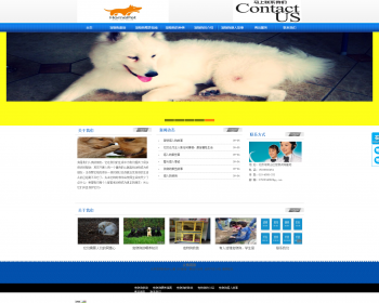 宠物世界源码整站源码