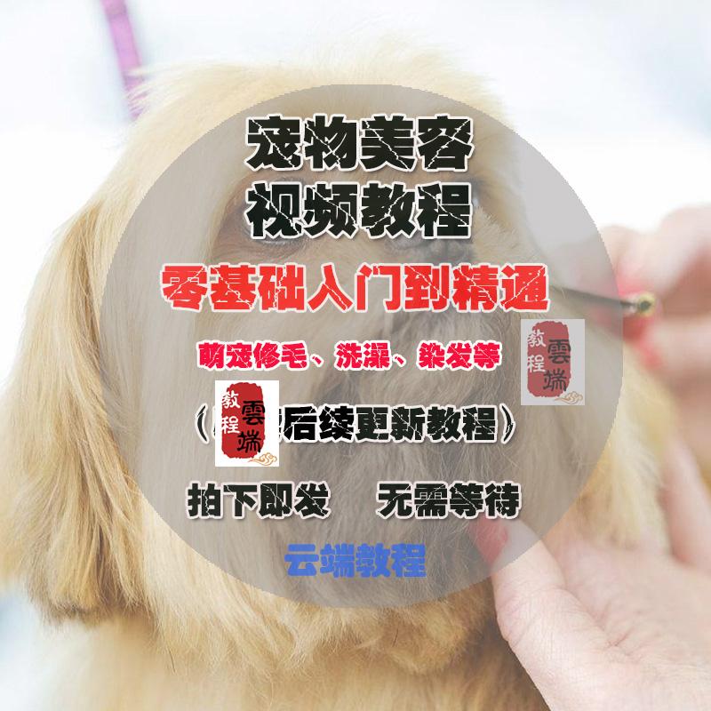 宠物美容视频教程飞雪宠物狗美容造型教程视频泰迪比熊雪纳瑞韩系