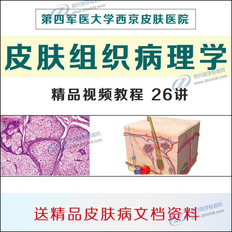 西京医院皮肤病理学视频教程常见皮肤病诊疗图谱皮炎皮肤组织学