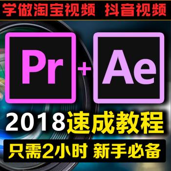 PR AE CC2019软件速成教程影视剪辑抖音淘宝视频特效后期制作素材
