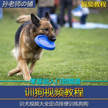 全套训狗养狗训犬视频教程大全训练军犬宠物喂养泰迪警犬教材资料