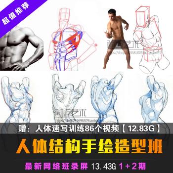 人体结构造型速写视频教程绘画美术素描插画动漫原画课程录屏特惠