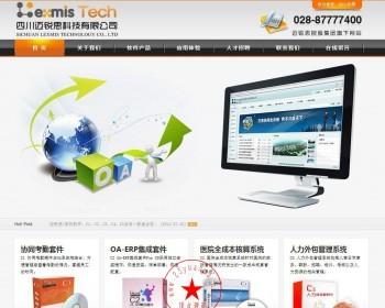 成都某软件公司网站源码公司网站模板ASP源码